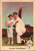1959 Fleer Ted Williams #69 Ted Williams